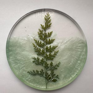 Handmade Resin Coaster with Pressed Dried Fern | Floral Drink Coasters, Unique Home Decor, Housewarming Gift